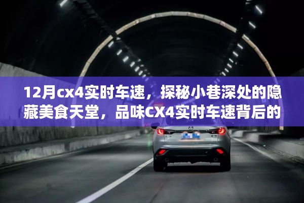 探秘十二月CX4实时车速背后的美食天堂故事