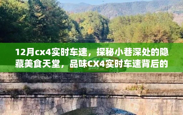 探秘十二月CX4实时车速背后的美食天堂故事