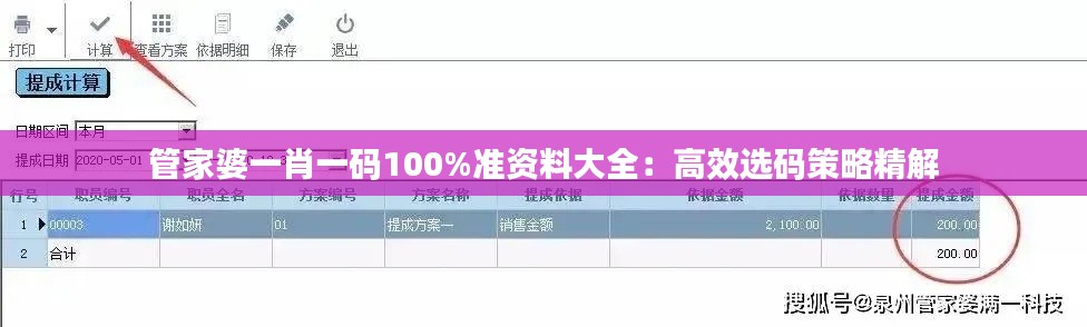 管家婆一肖一码100%准资料大全：高效选码策略精解