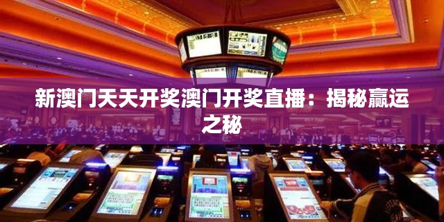 新澳门天天开奖澳门开奖直播：揭秘赢运之秘