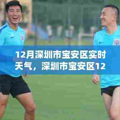 深圳市宝安区12月实时天气探索之旅，自然美景与内心宁静的追寻