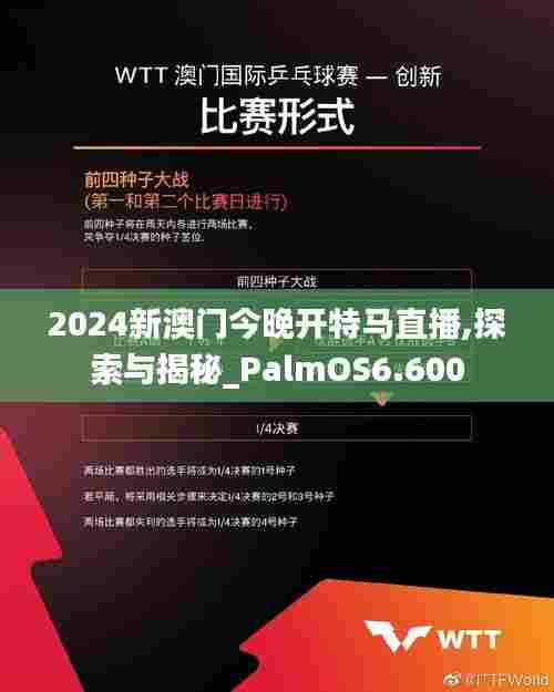 2024新澳门今晚开特马直播,探索与揭秘_PalmOS6.600