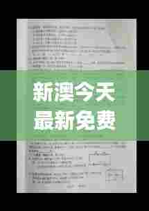 新澳今天最新免费资料,效率资料解释落实_C版2.488