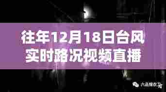 台风下的惊喜直播，探秘小巷特色小店与实时路况视频直播回顾