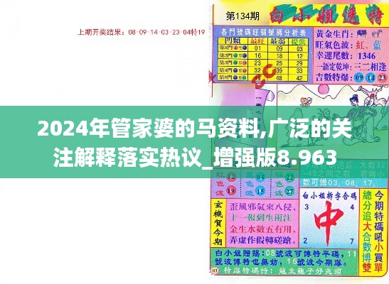 2024年管家婆的马资料,广泛的关注解释落实热议_增强版8.963