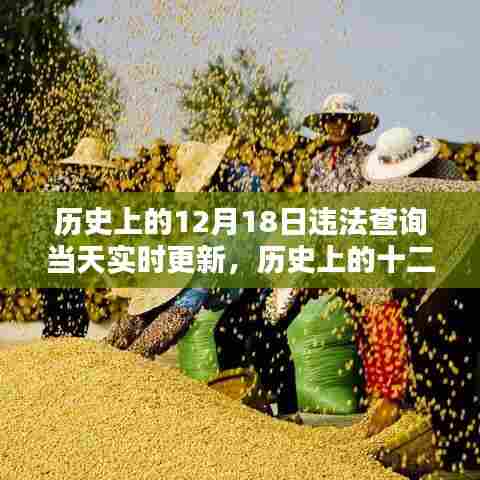 历史上的十二月十八日,探寻值得铭记的瞬间与实时更新的违法查询资讯