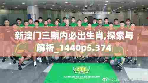 新澳门三期内必出生肖,探索与解析_1440p5.374