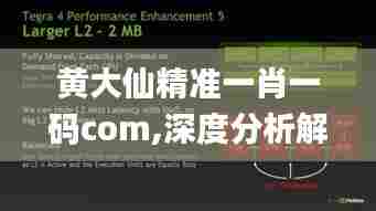 黄大仙精准一肖一码com,深度分析解释定义_复古款2.189