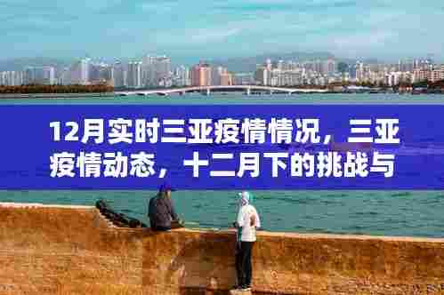 三亚疫情最新动态，十二月下的挑战与应对策略
