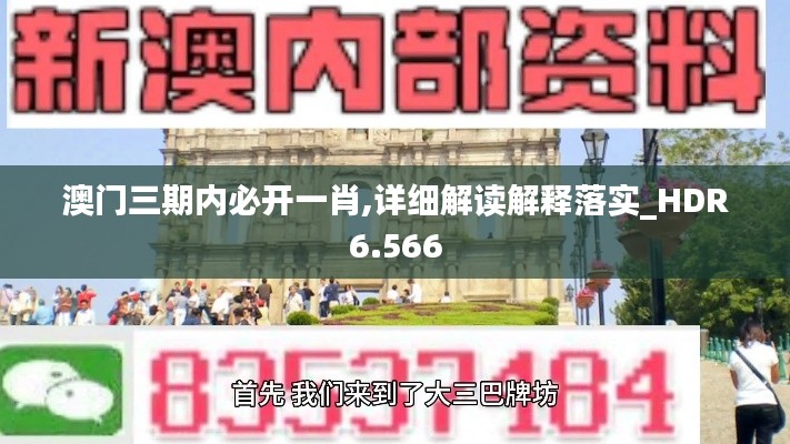 澳门三期内必开一肖,详细解读解释落实_HDR6.566