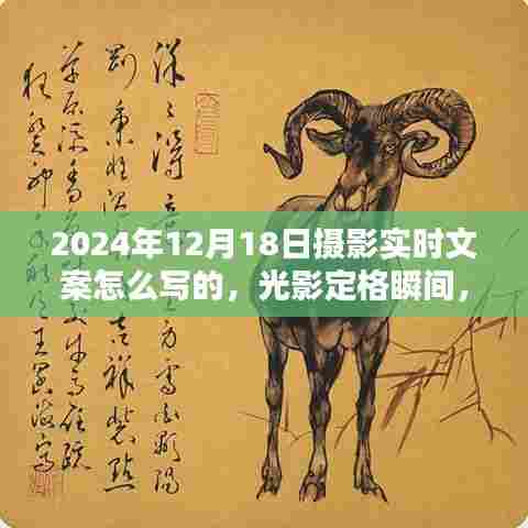 光影定格瞬间，探索摄影艺术的时代印记，揭秘如何撰写摄影实时文案——以2024年12月18日为灵感之源