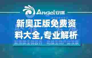 新奥正版免费资料大全,专业解析说明_Tizen15.933