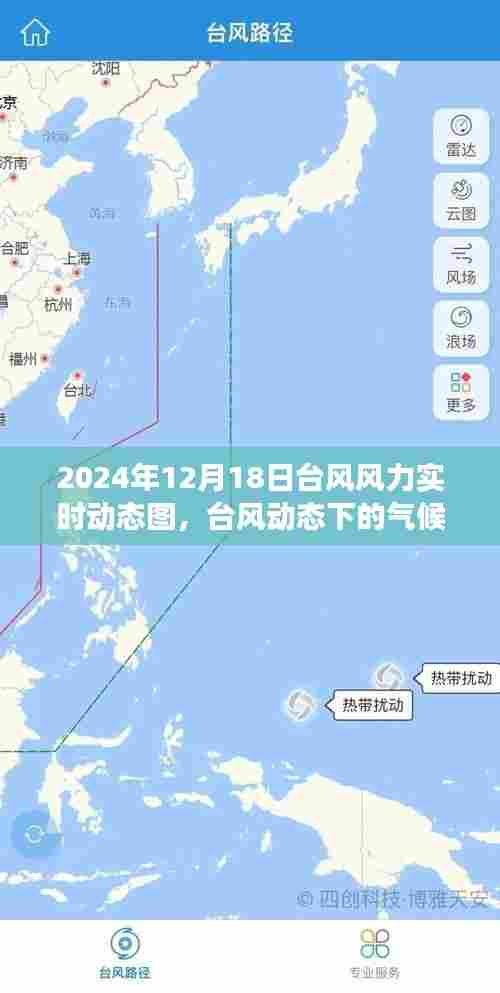 关于台风动态下的气候观察，深入解析与观点阐述