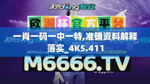 一肖一码一中一特,准确资料解释落实_4K5.411