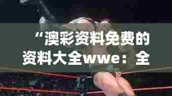 “澳彩资料免费的资料大全wwe：全能指南掌握搏击赛事分析”