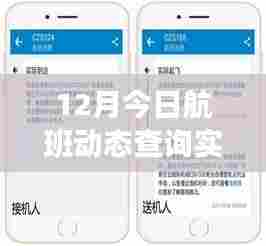 CZ3613航班动态实时查询之旅，探索巷弄深处的隐藏瑰宝特色小店探索之旅