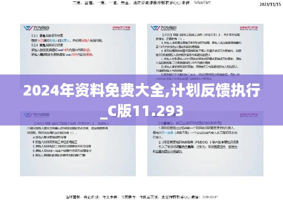 2024年资料免费大全,计划反馈执行_C版11.293