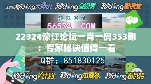 22324濠江论坛一肖一码353期：专家秘诀值得一看