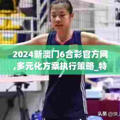 2024新澳门6合彩官方网,多元化方案执行策略_特别款3.780