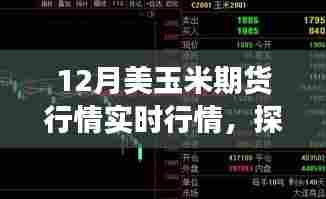 12月美玉米期货行情深度解析，小巷风情与美食邂逅