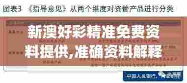 新澳好彩精准免费资料提供,准确资料解释定义_Lite1.604