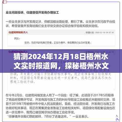探秘梧州水文秘境,实时报道带你走进特色时光,梧州水文实时报道网独家呈现(2024年12月18日)