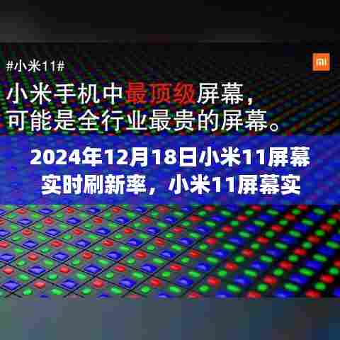 小米11屏幕实时刷新率详解,技术前沿与未来展望