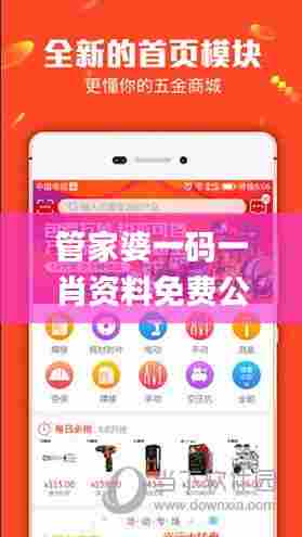 管家婆一码一肖资料免费公开,灵活操作方案设计_7DM14.589