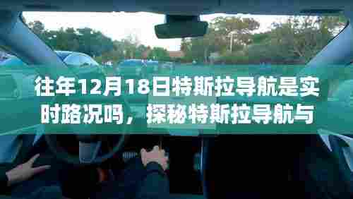 草长莺飞 第5页