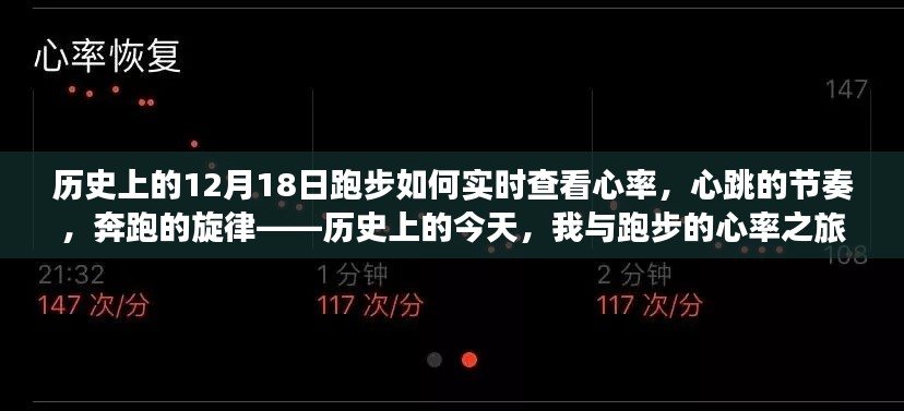 历史上的跑步与心率之旅，实时查看心跳节奏与奔跑旋律的历程回顾