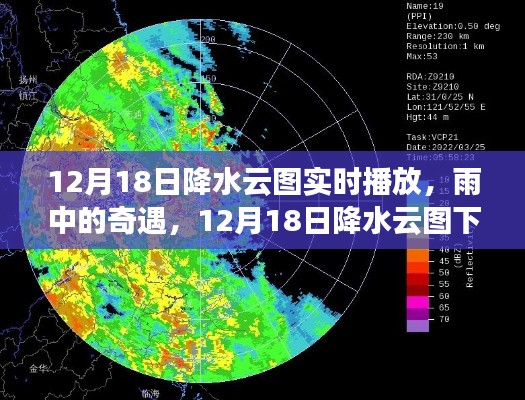 雨中的奇遇与云图下的温暖时光，12月18日降水云图实时播放