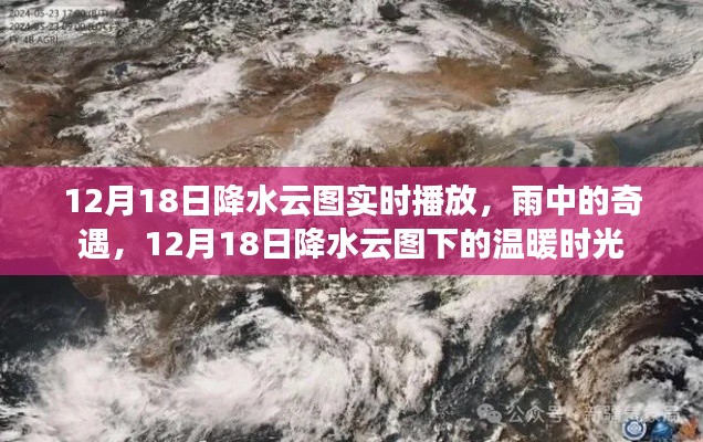 雨中的奇遇与云图下的温暖时光,12月18日降水云图实时播放