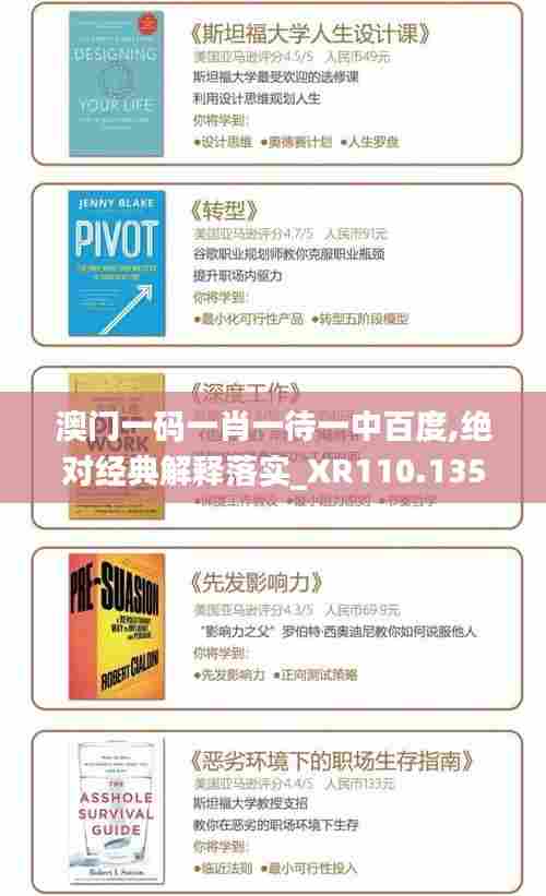 澳门一码一肖一待一中百度,绝对经典解释落实_XR110.135