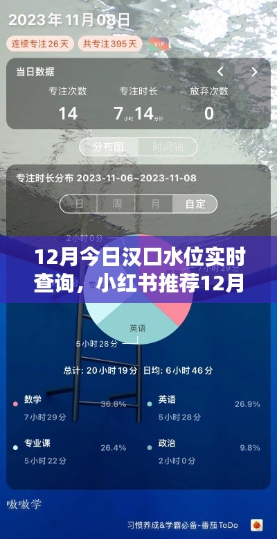 汉口水位实时查询指南，轻松掌握水位动态，小红书推荐