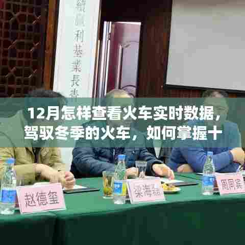 驾驭冬季火车之旅,掌握十二月火车实时数据开启成就之旅
