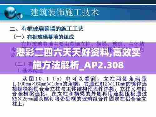 港彩二四六天天好资料,高效实施方法解析_AP2.308