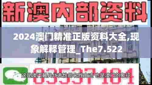 2024澳门精准正版资料大全,现象解释管理_The7.522