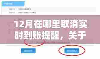 以十二月为例,如何取消实时到账提醒操作指南