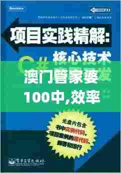 澳门管家婆100中,效率解答解释落实_优选版6.714