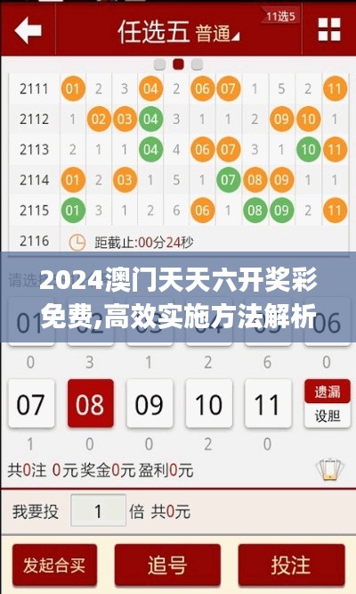 2024澳门天天六开奖彩免费,高效实施方法解析_网红版10.153