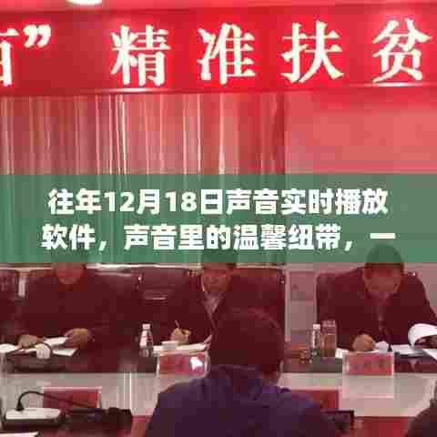声音实时播放软件的温馨纽带,一个日常故事中的声音纽带力量