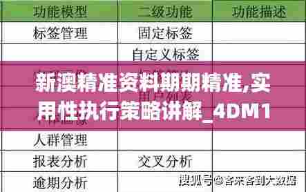 新澳精准资料期期精准,实用性执行策略讲解_4DM15.460
