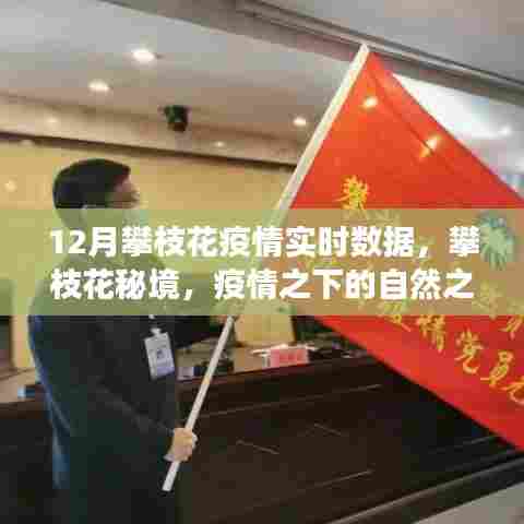 攀枝花疫情实时数据与秘境探索,疫情之下的自然之旅与内心宁静港湾