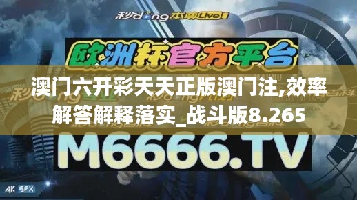 澳门六开彩天天正版澳门注,效率解答解释落实_战斗版8.265