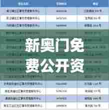 新奥门免费公开资料,数据解读说明_nShop10.803