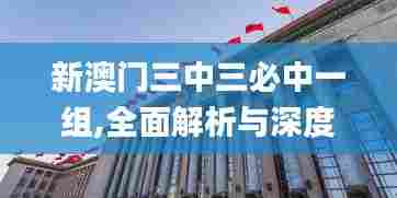 新澳门三中三必中一组,全面解析与深度探讨_精装款2.747