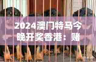 2024澳门特马今晚开奖香港:赌城竞逐犬夜狂澜