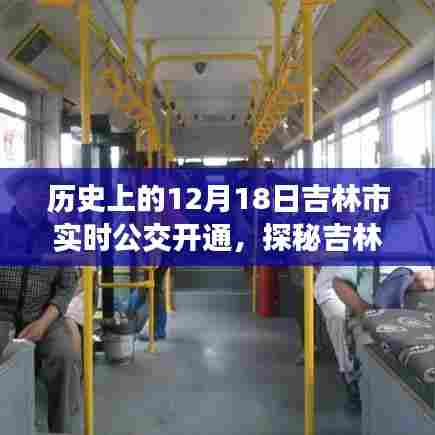 吉林公交历史探秘，实时公交开通背后的故事与巷弄美食奇遇记