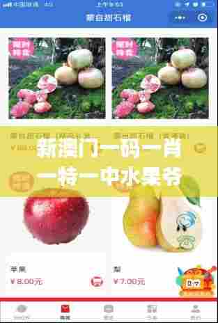 新澳门一码一肖一特一中水果爷爷,探索与揭秘_4DM110.716