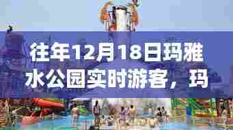 玛雅水公园，欢乐时光与珍贵回忆的游客实录（往年12月18日）